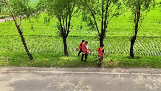 道路施工工人维修公路打草