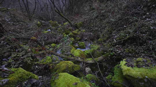 清澈的山涧溪水高速升格4K镜头