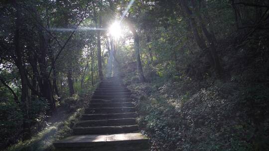 杭州玉皇山景区紫来洞