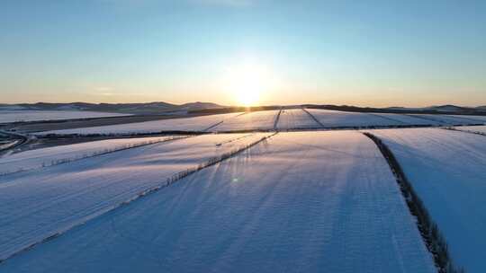 冬日雪地上阳光照耀下的树影景象