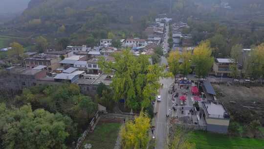 航拍古寺千年银杏秋景西安古观音禅寺