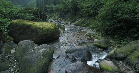 夏季峨眉山后山大沟溪水清凉