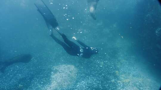 潜水员，浮潜，海，潜水服