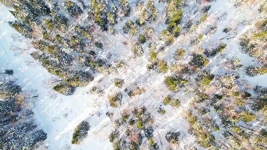 中国黑龙江大兴安岭雪原森林雪景航拍