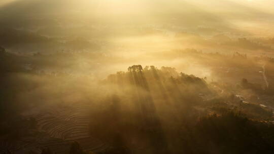 金色光影中的乡村大地