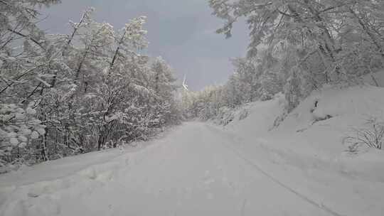 行驶在林海雪原的雪路上