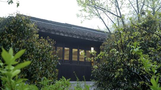 细雨绵绵中的杭州古风建筑