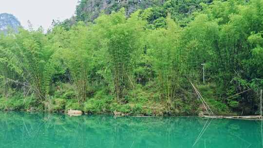 美丽江河畔竹子竹林自然风景