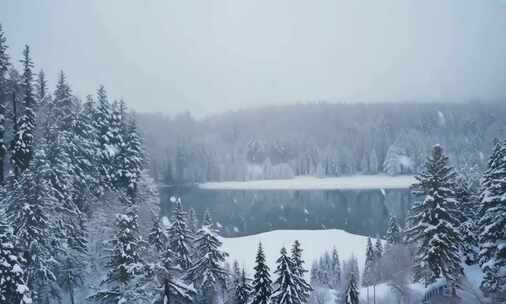 冬天唯美雪景 雪花飘落 (4)