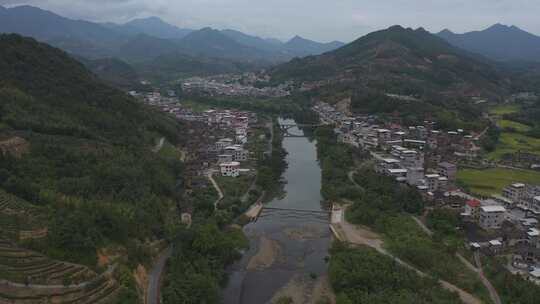 福建省龙岩市漳平水仙生态茶园航拍