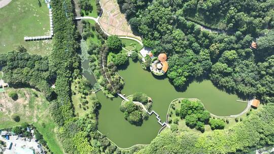 东莞虎门公园观鱼湖俯拍池塘公园湖泊鱼塘