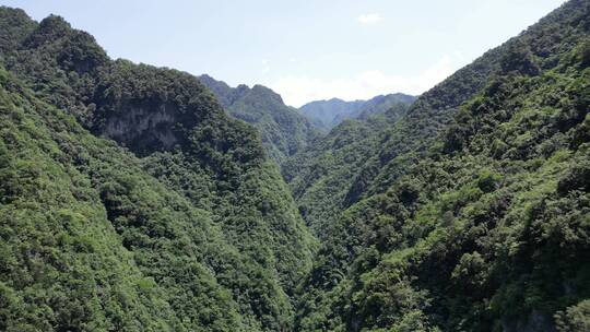 航拍大自然深山山谷湖北神农架神农谷