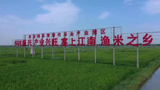 宁夏稻田艺术-稻田画2【4K】