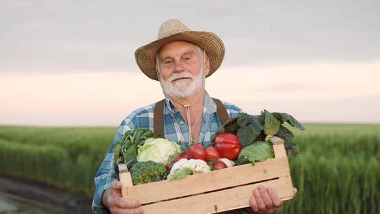 手捧蔬菜盒子的农民