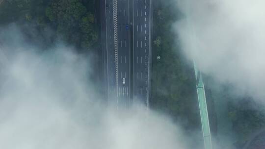 云雾下的交通
