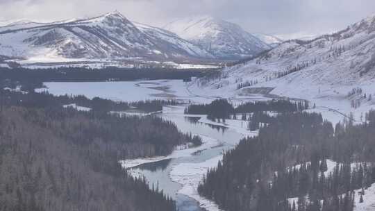 冬季森林雪山新疆禾木