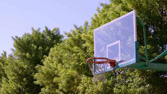 篮球架篮球框操场树木户外实拍4k