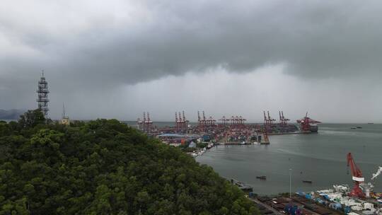 赤湾港 货运 码头 贸易 集装箱 赤湾码头视频素材模板下载