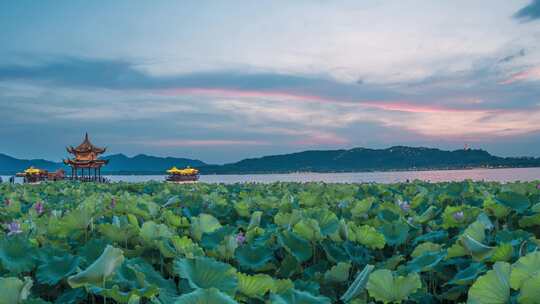 杭州西湖集贤亭晚霞夜景延时