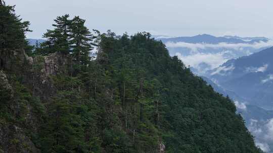 美丽中国河南伏牛山老界岭自然风光