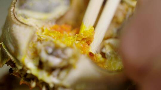烤河蟹吃蟹黄视频素材模板下载