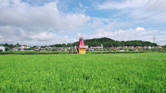 夏日里绿油油的稻田风车美丽的乡村田野航拍