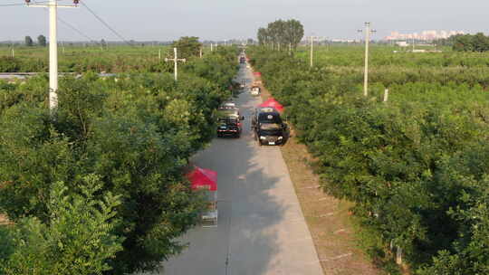 河北深州大桃航拍种植园马路三轮车顺丰车队