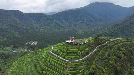 西藏墨脱县背崩乡格林村高山茶园风光航拍