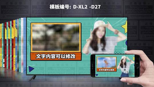 18件套视频包装模板 D-XL2-D27
