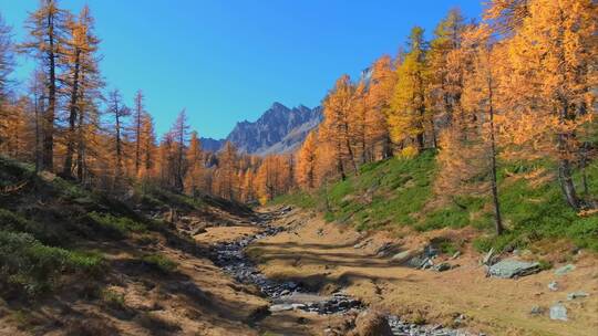 4K山水湖泊高山树林丛林自然景观