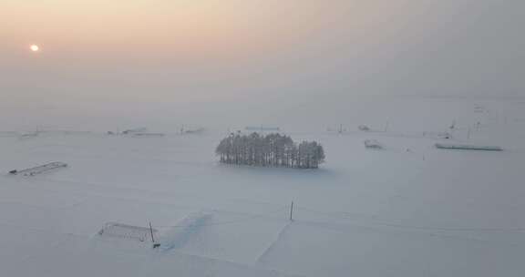 航拍雾霭中雪地上的树木和太阳