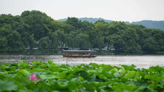 夏天杭州西湖景区