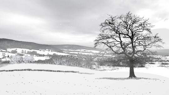 一棵孤单的树矗立在风雪中
