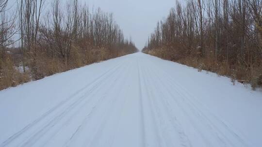 下雪天荒野道路行车记录