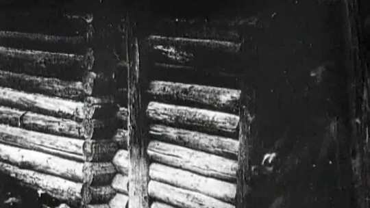 30年代鼠疫传染病传染源卫生防疫掩埋消灭