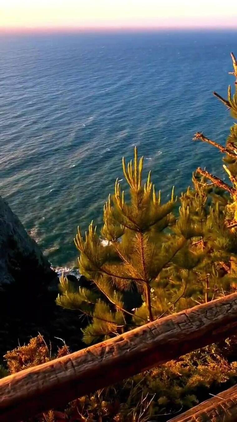 视频素材，唯美意境，清新自然，治愈系风景