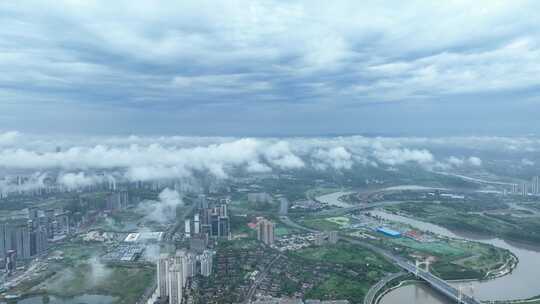 成都麓湖生态城天保湾大桥锦江生态带