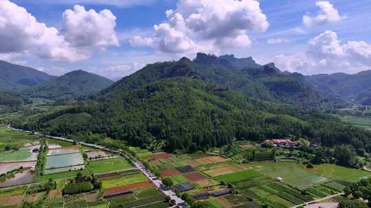 （合集）福建武夷山茶园茶山优质大红袍产区