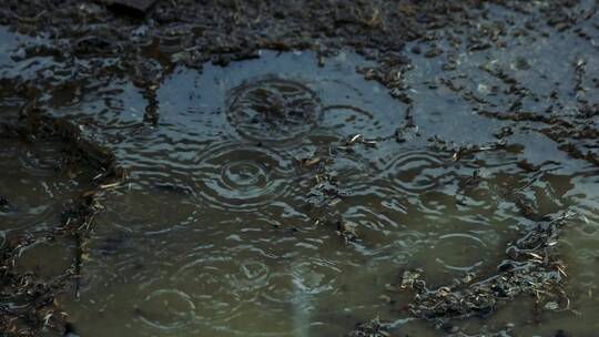 满是雨滴的泥泞地面