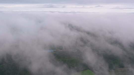 4k航拍雨后山林