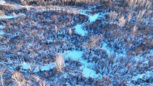 航拍冰雪覆盖的冻土森林湿地