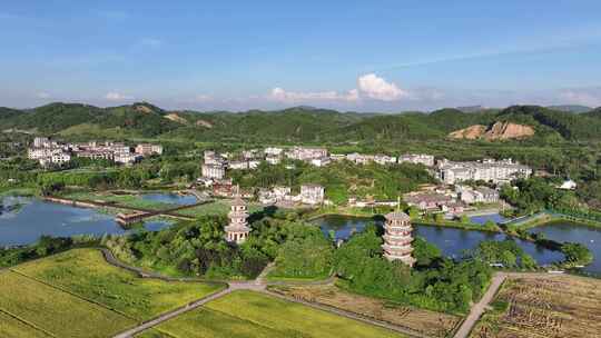 水稻秋收 美丽乡村 乡村振兴 五彩田园