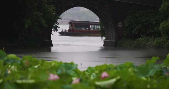 杭州西湖风光雨中的曲院风荷