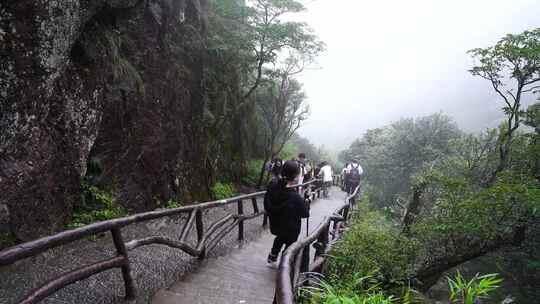 清晨爬山登山上楼梯背影脚步特写森林爬楼梯