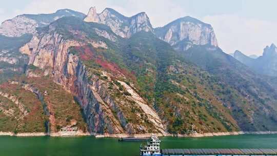 长江三峡巫峡红叶