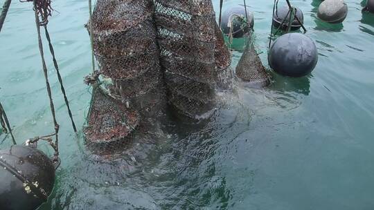 网兜养殖捕捞贝类