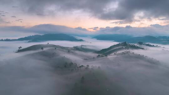 茶山茶园云海日出航拍