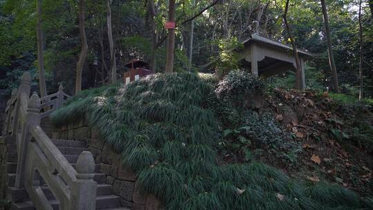 杭州宝石山景区金鼓洞景点