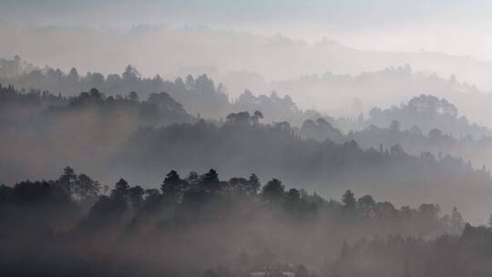 清晨的山林云雾山水画视频素材模板下载