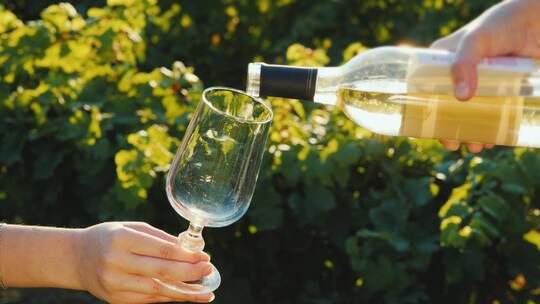 在葡萄园里将白葡萄酒倒入酒杯